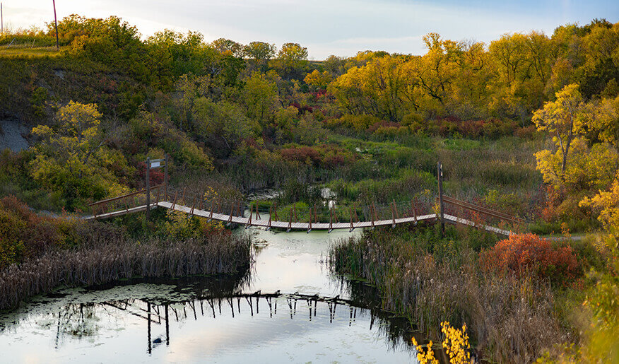 Aerial photo of Eternal Springs Wetland Walking Trails & Suspension Bridge in fall